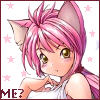 kitty_kat